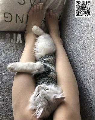黄色激情视频在线观看_4K在线手机播放