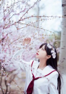 暴力驯服2免费观看完整版电影_蓝光神马影院手机在线